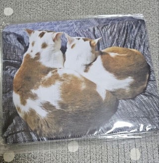 KakaoTalk_20250407_100212382_02.jpg