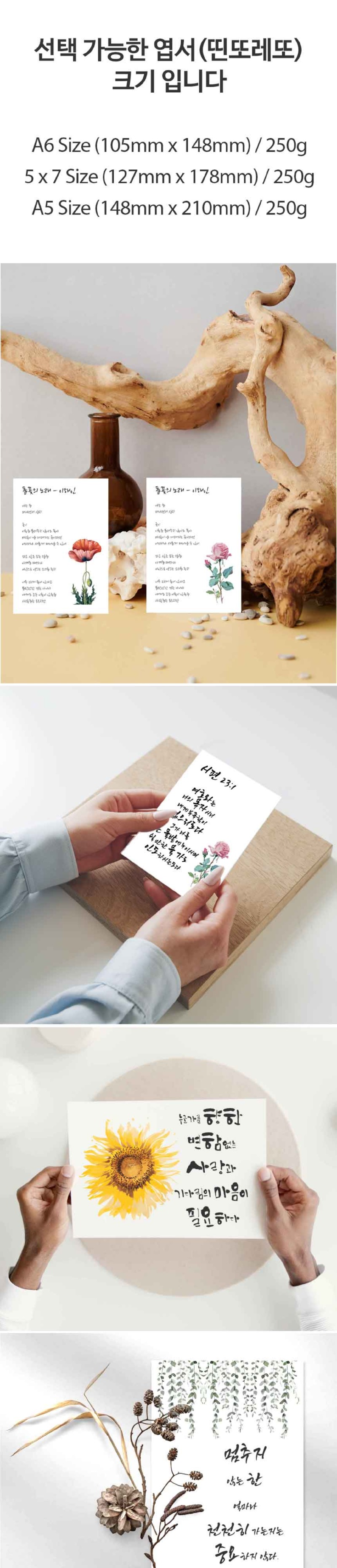 Calligraphy-Postcards-d-001.jpg