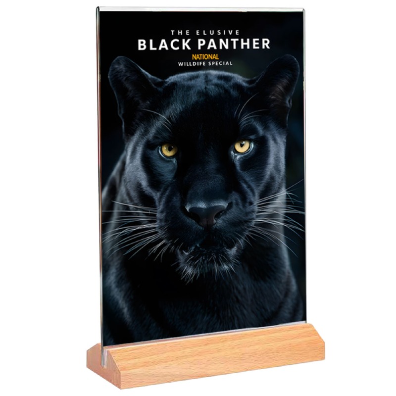 Wood-Acrylic-Stand-s-001.jpg