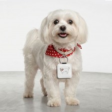 아트피아 강아지 고양이 목걸이 반려동물 이름표 인식표 네임택 명찰 PU 인조가죽 주문제작
