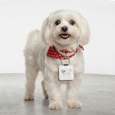아트피아 강아지 고양이 목걸이 반려동물 이름표 인식표 네임택 명찰 PU 인조가죽 주문제작
