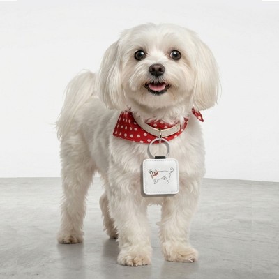 아트피아 강아지 고양이 목걸이 반려동물 이름표 인식표 네임택 명찰 PU 인조가죽 주문제작